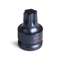 Торцевой ключ TORX T100