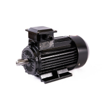 Электродвигатель 380V 50HZ 3кВт (Y2-90L-2 8501522001) LB40, LB40В