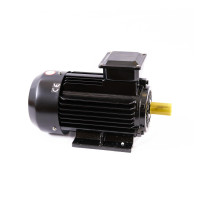 Электродвигатель 380V 50HZ 3кВт (Y2-90L-2 8501522001) LB40, LB40В