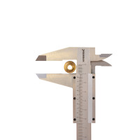 Клапан ( Pin plug ) RT-5565 поз.36